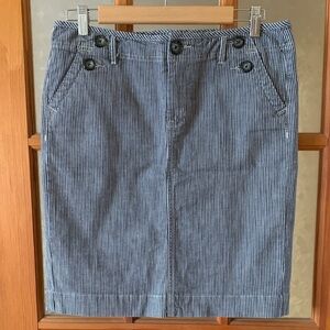 Classic Blue Striped Skirt